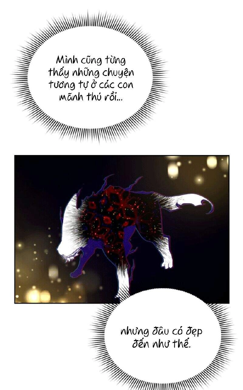 Nàng Elizabeth Thuần Khiết Chapter 2 - 7