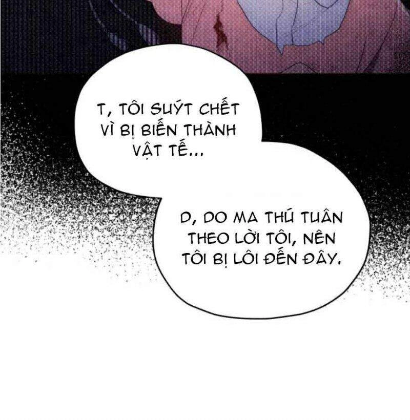 Nàng Elizabeth Thuần Khiết Chapter 2 - 43