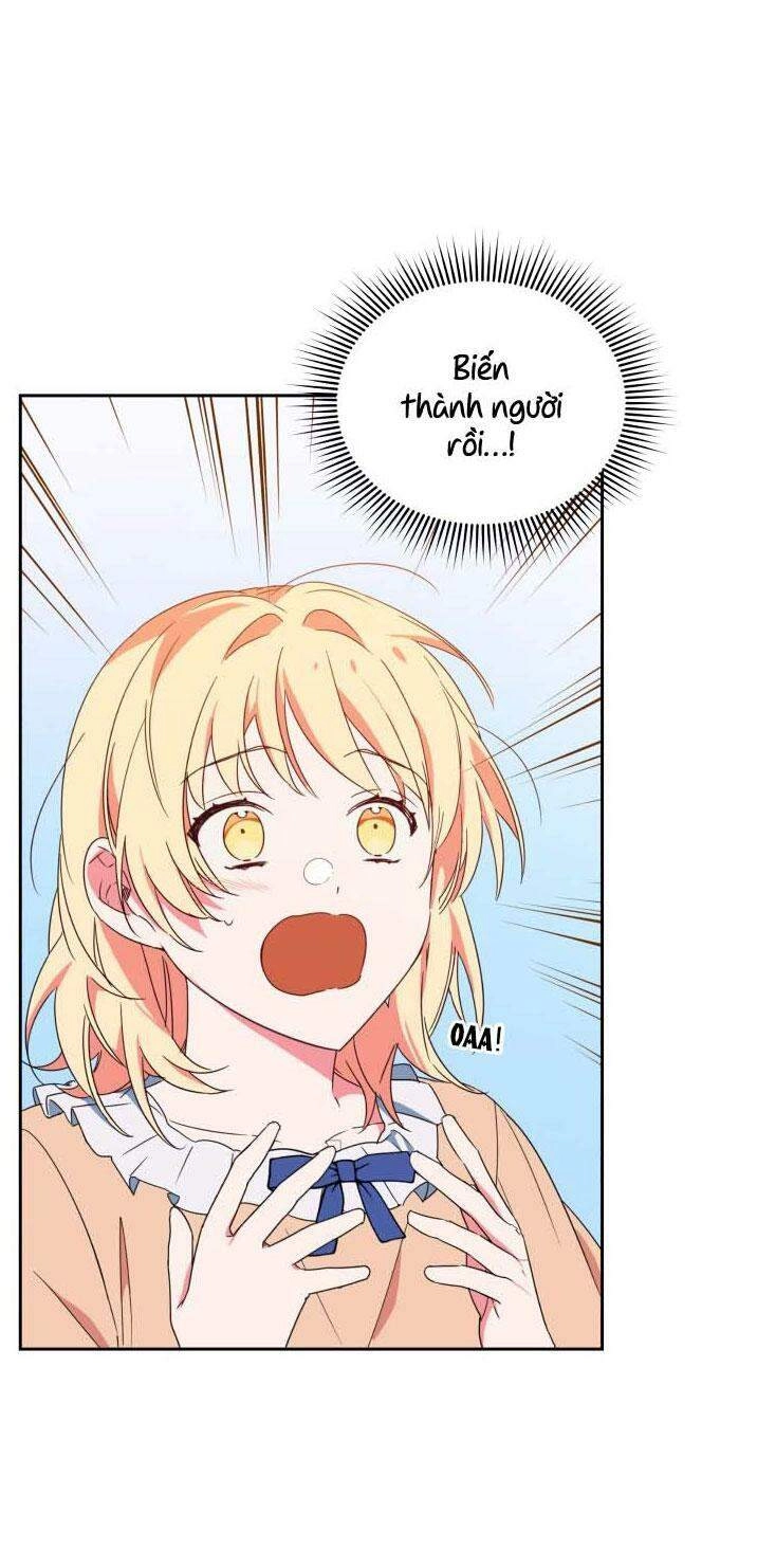 Nàng Elizabeth Thuần Khiết Chapter 6 - 16