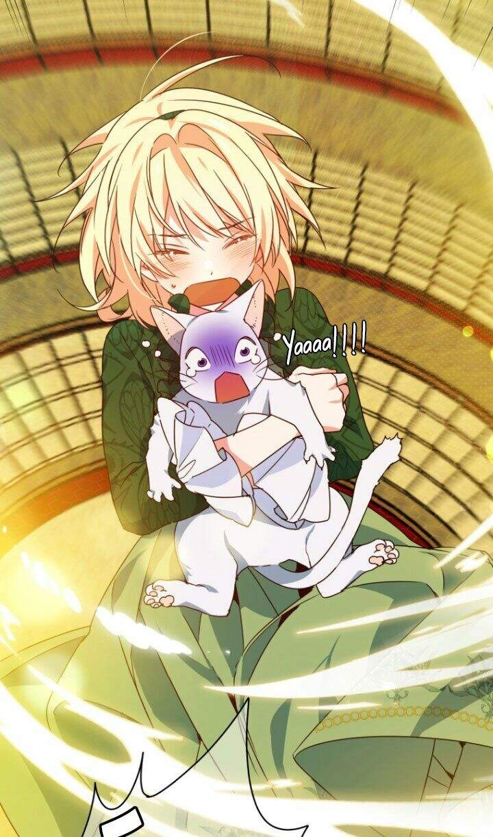 Nàng Elizabeth Thuần Khiết Chapter 25 - 55