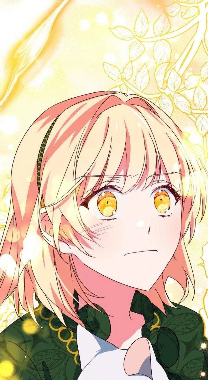 Nàng Elizabeth Thuần Khiết Chapter 25 - 83