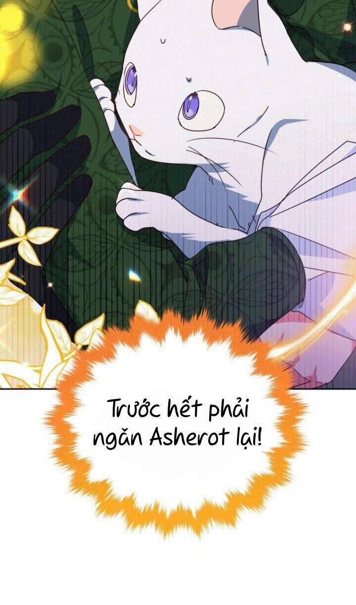 Nàng Elizabeth Thuần Khiết Chapter 26 - 9