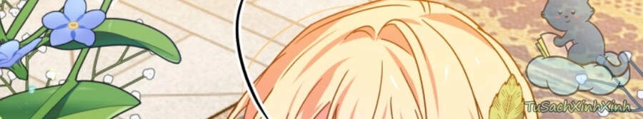 Nàng Elizabeth Thuần Khiết Chapter 33 - 19