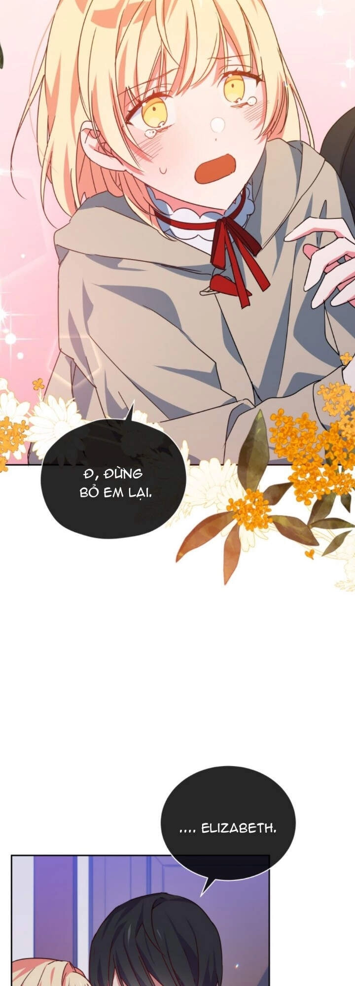 Nàng Elizabeth Thuần Khiết Chapter 35 - 43
