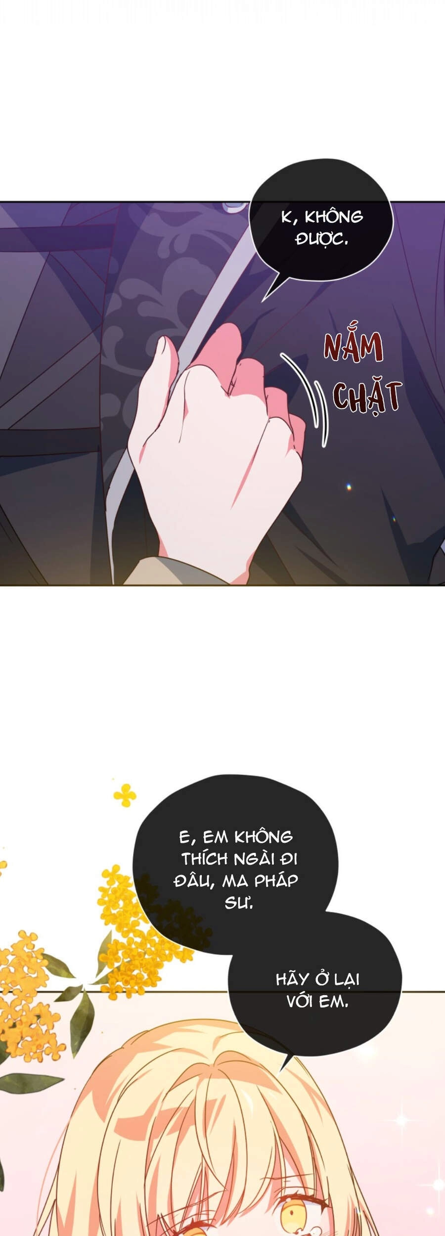 Nàng Elizabeth Thuần Khiết Chapter 36 - 3