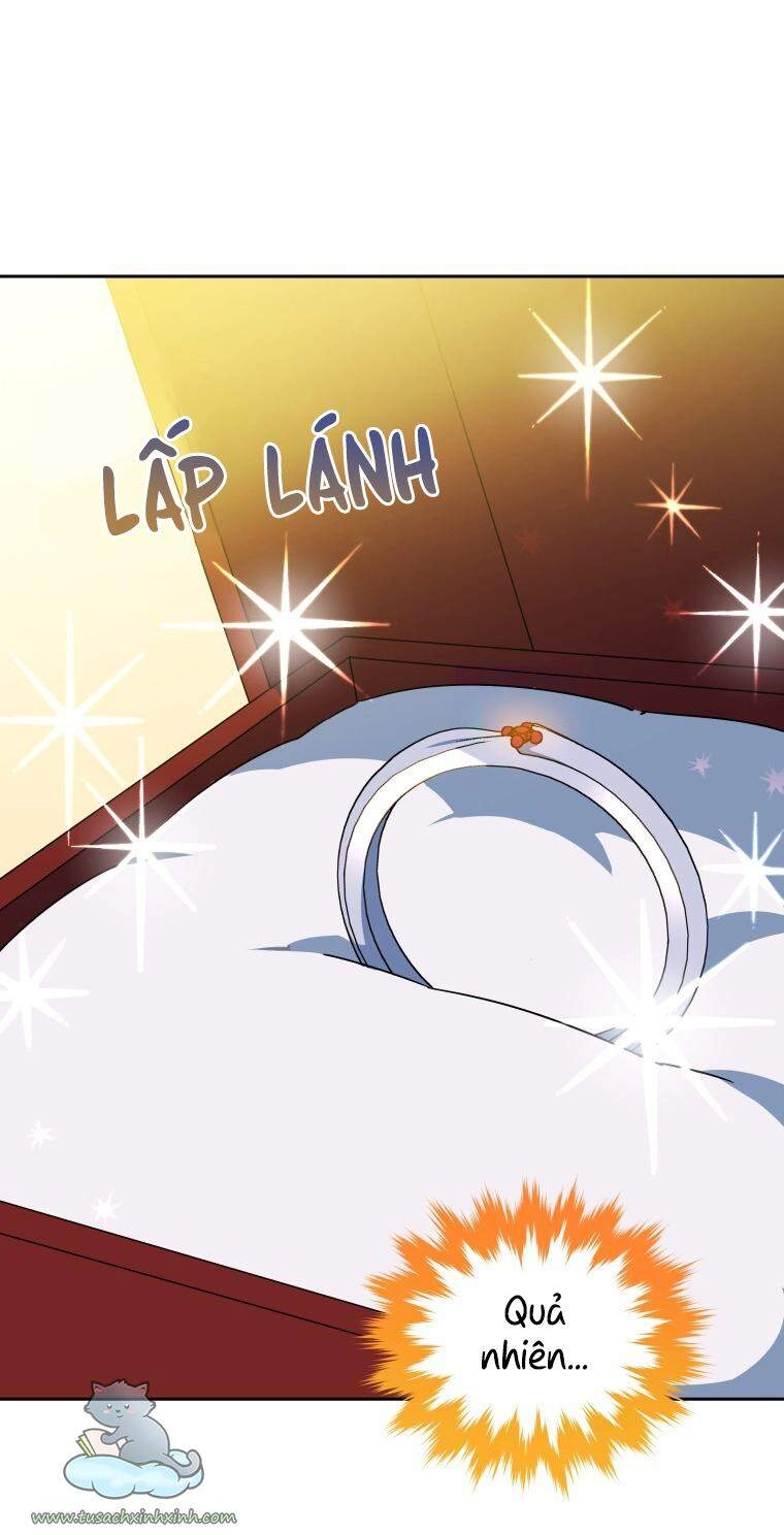 Nàng Elizabeth Thuần Khiết Chapter 40 - 42