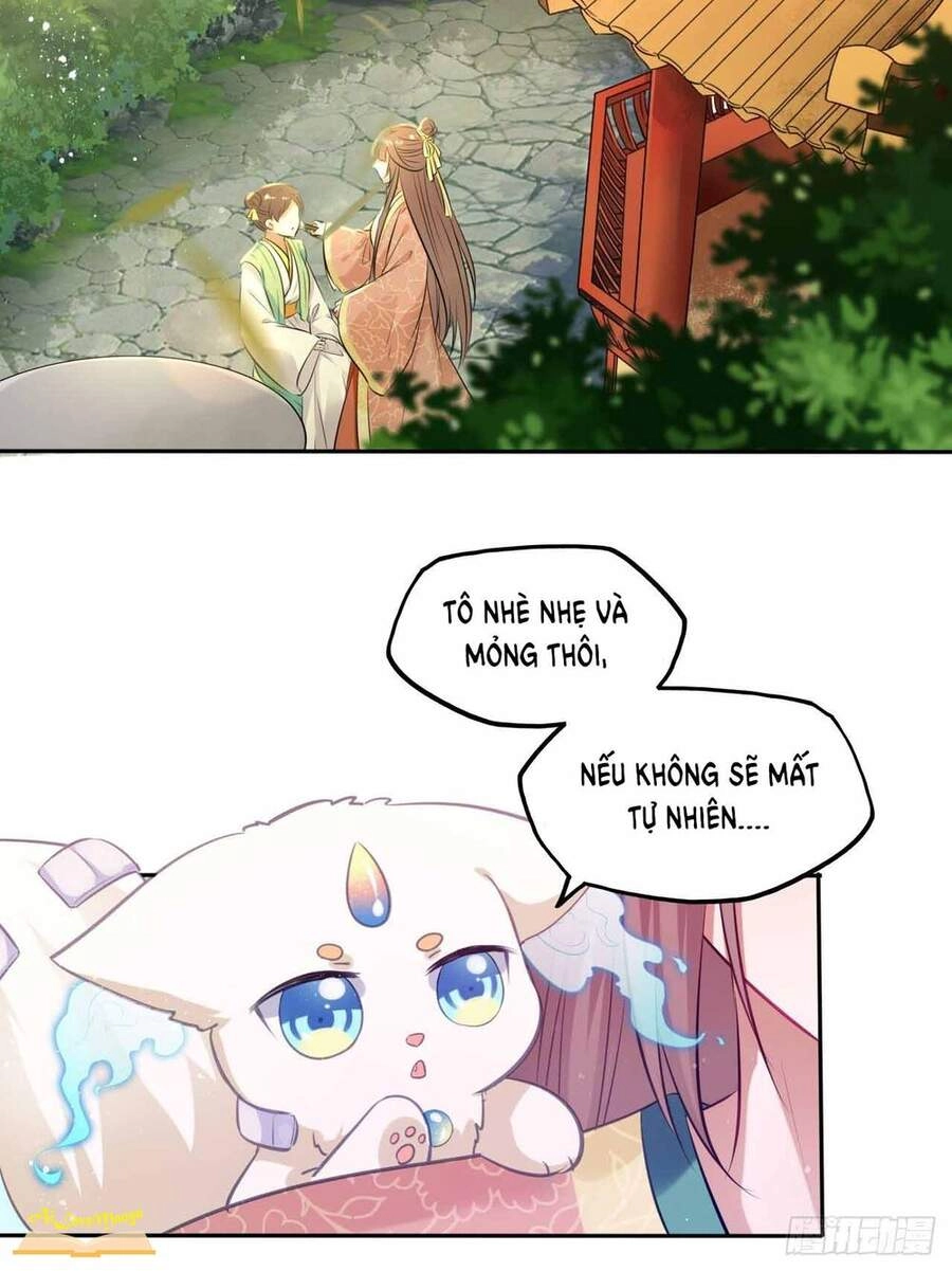 Vương Phi Thật Thích Trang Điểm Chapter 95 - 33