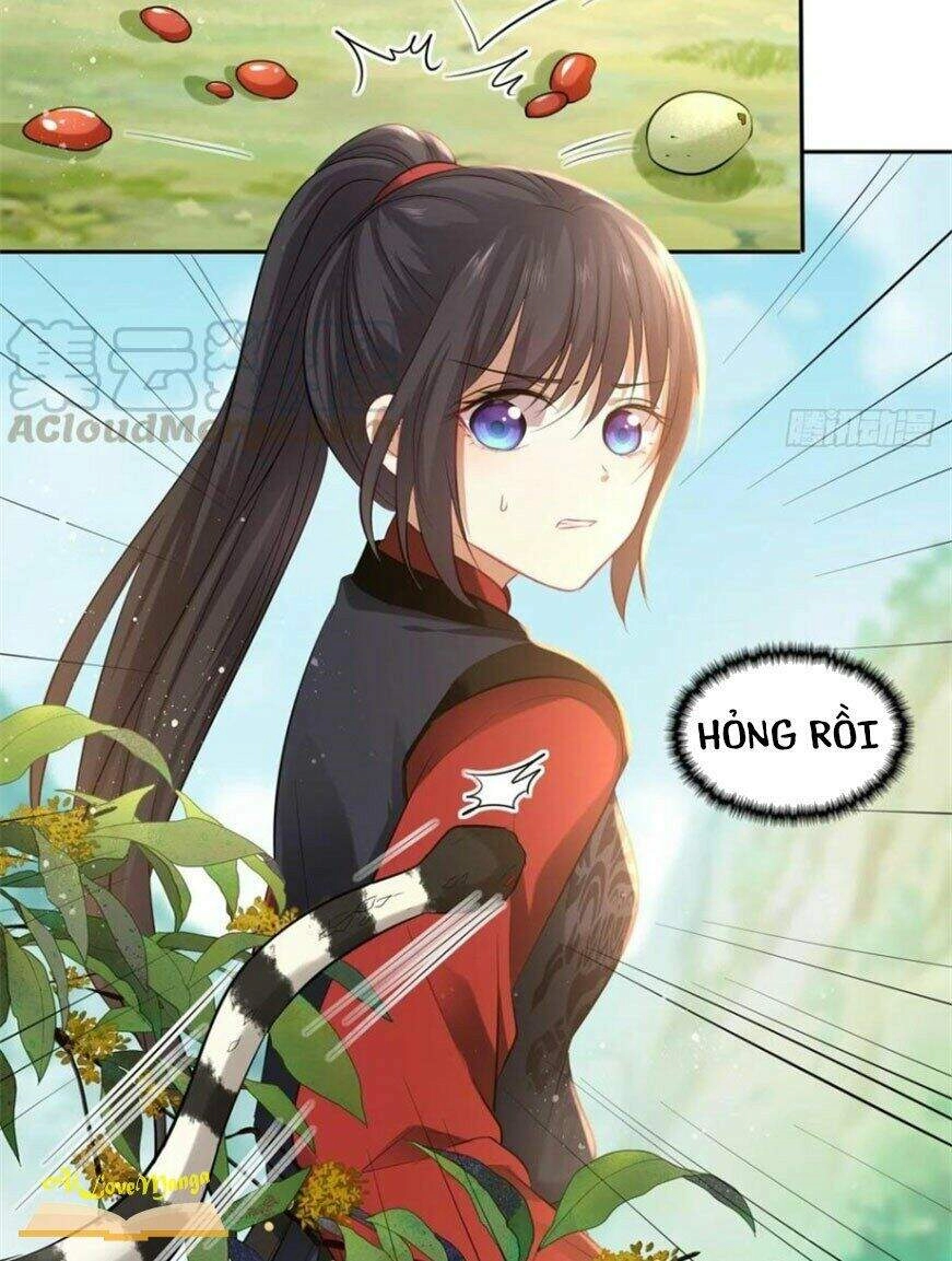 Vương Phi Thật Thích Trang Điểm Chapter 109 - 6