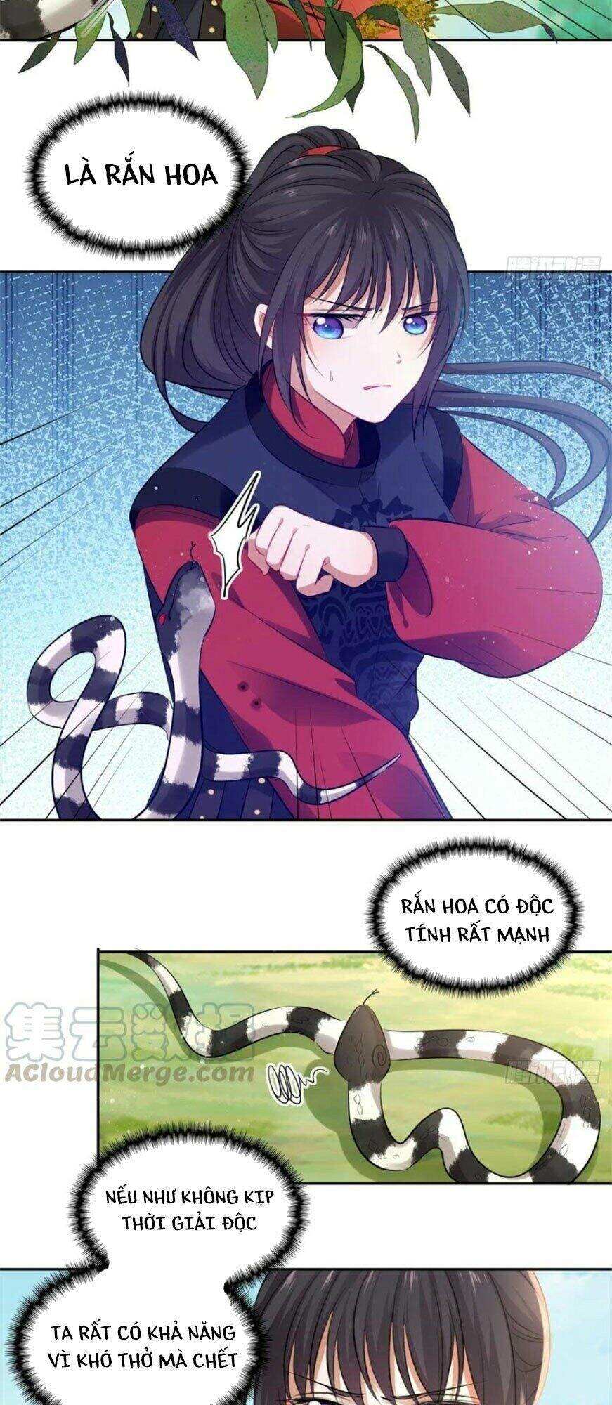 Vương Phi Thật Thích Trang Điểm Chapter 109 - 7