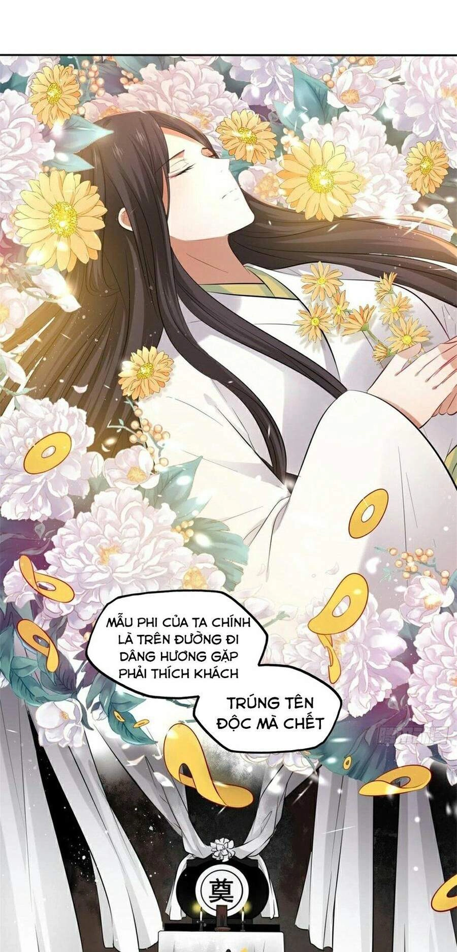 Vương Phi Thật Thích Trang Điểm Chapter 111 - 34