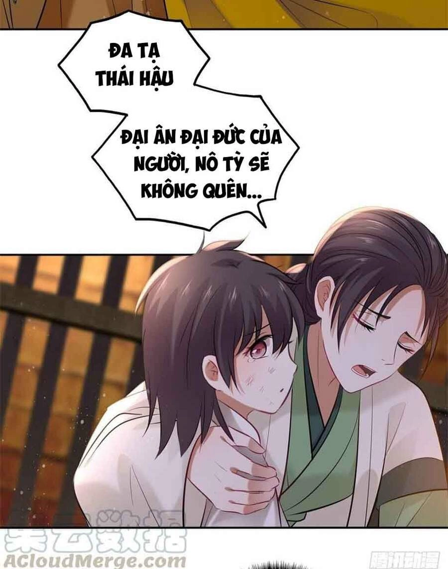 Vương Phi Thật Thích Trang Điểm Chapter 122 - 26