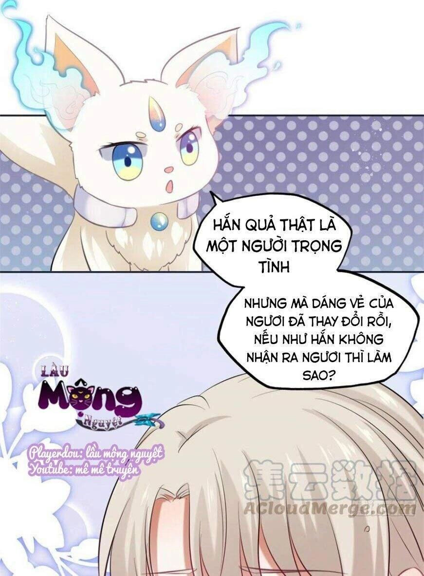 Vương Phi Thật Thích Trang Điểm Chapter 131 - 16