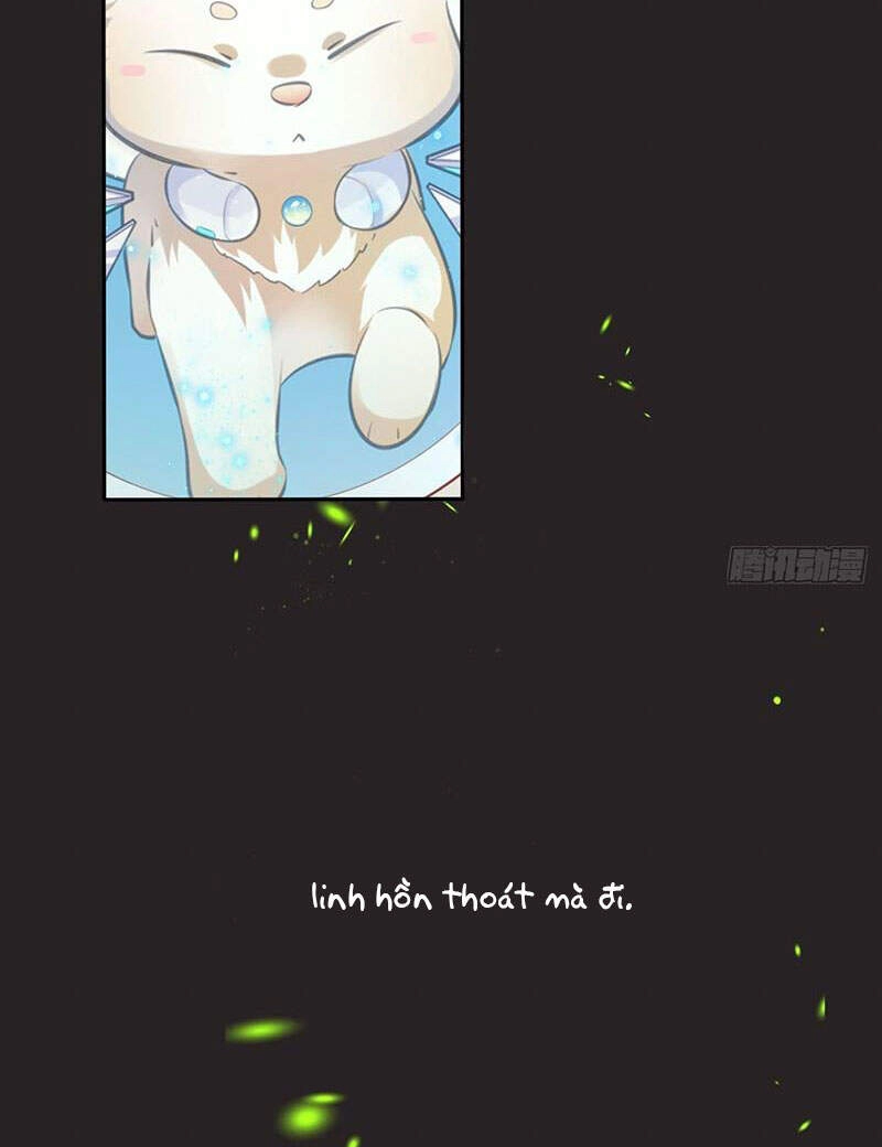 Vương Phi Thật Thích Trang Điểm Chapter 168 - 54