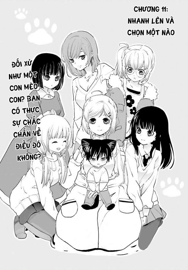 Miharashi-Sou No 5-Nin No Hanayome Chapter 11 - 3