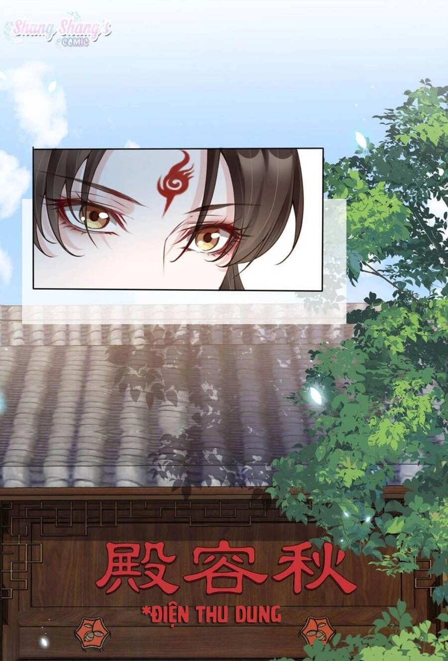 Tôi Là Đệ Nhất Hắc Nguyệt Quang Của Tu Chân Giới Chapter 5 - 8