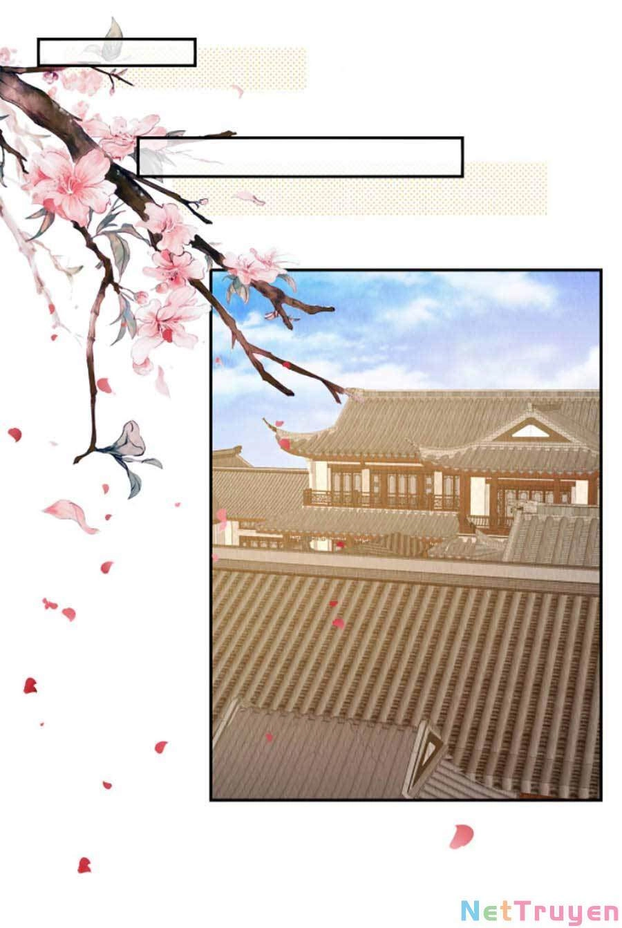 Nha Hỏa Cuồng Phi: Vương Gia Phóng Tứ Sủng Chapter 5 - 13