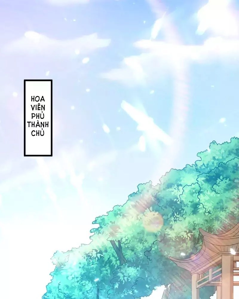 Dị Giới Siêu Cấp Ở Rể Chapter 5 - 39