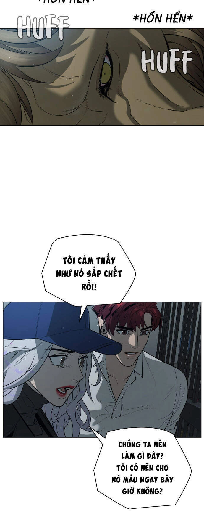 Máu Trắng Chapter 71 - 33