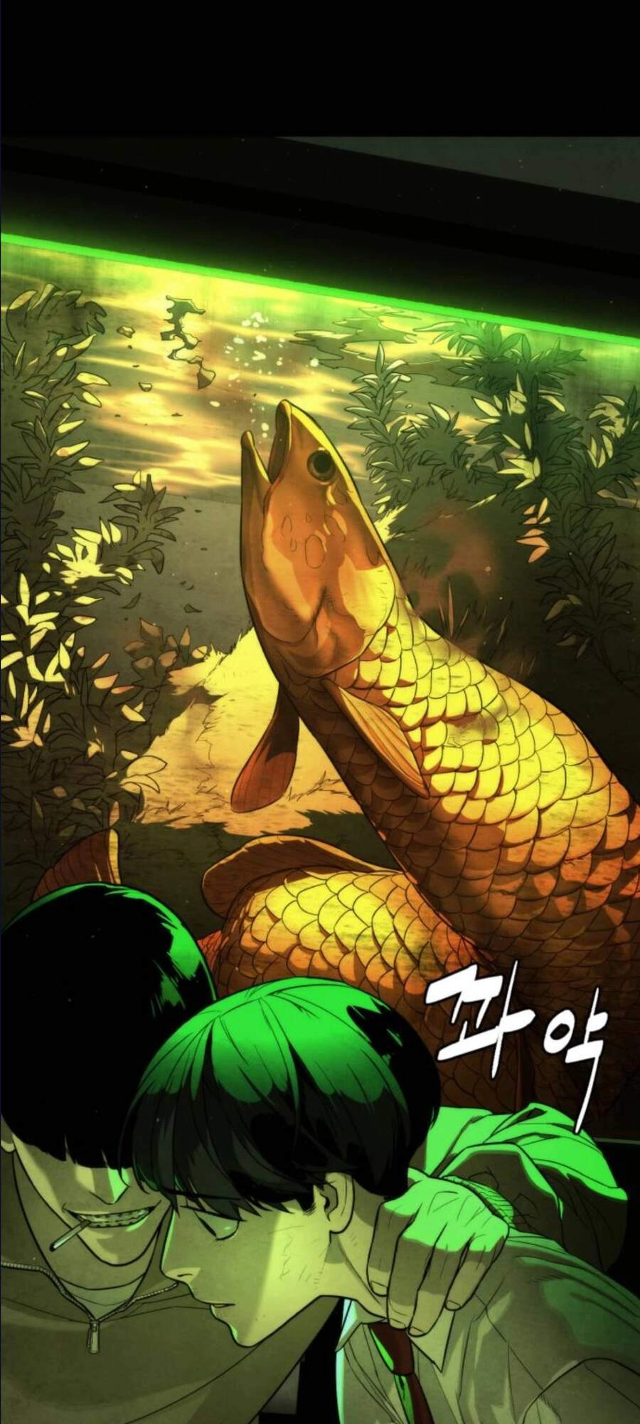 Máu Trắng Chapter 87 - 8