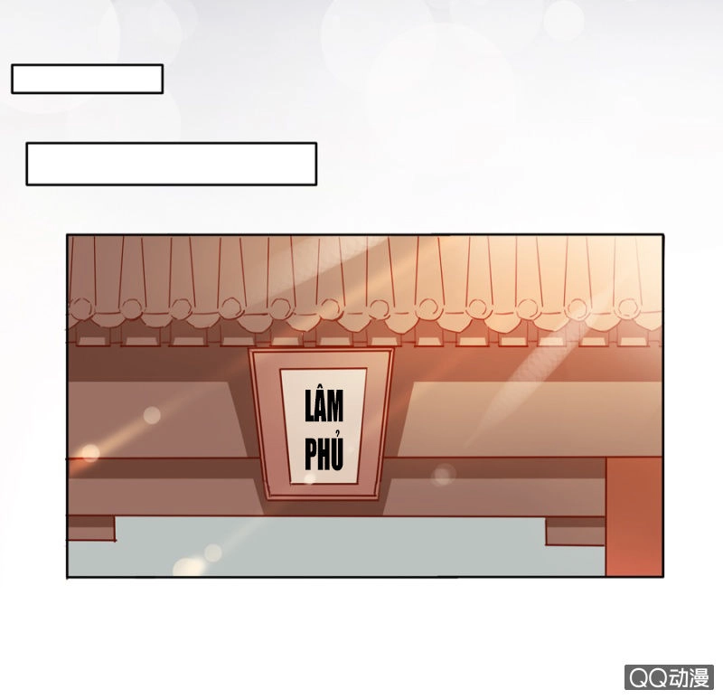 Solo Đi Vương Gia Chapter 10 - 7