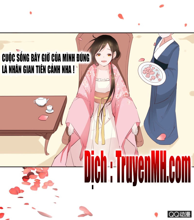 Solo Đi Vương Gia Chapter 11 - 2