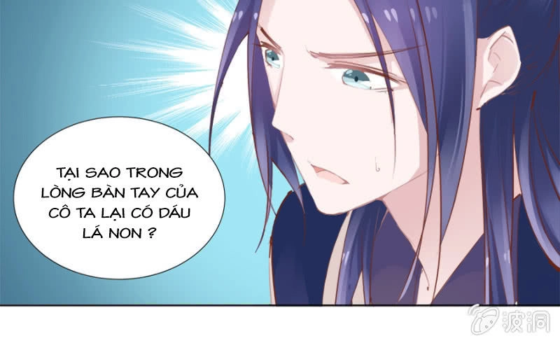 Solo Đi Vương Gia Chapter 31 - 24