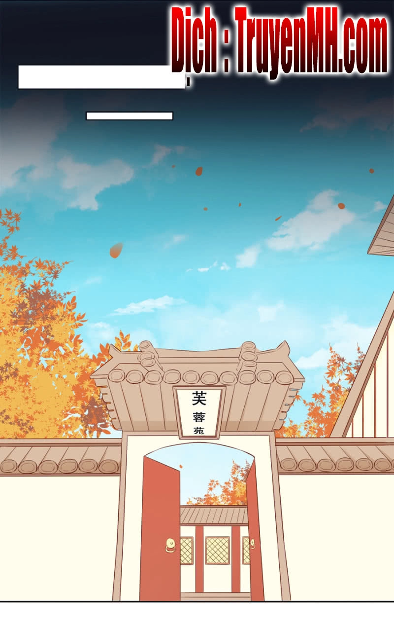 Solo Đi Vương Gia Chapter 60 - 15