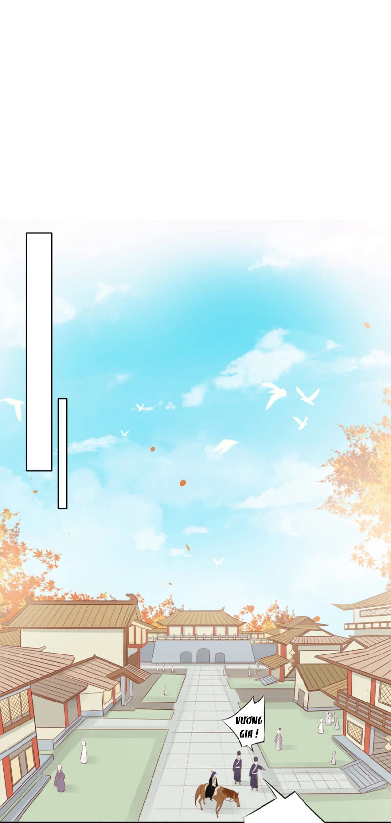 Solo Đi Vương Gia Chapter 63 - 14