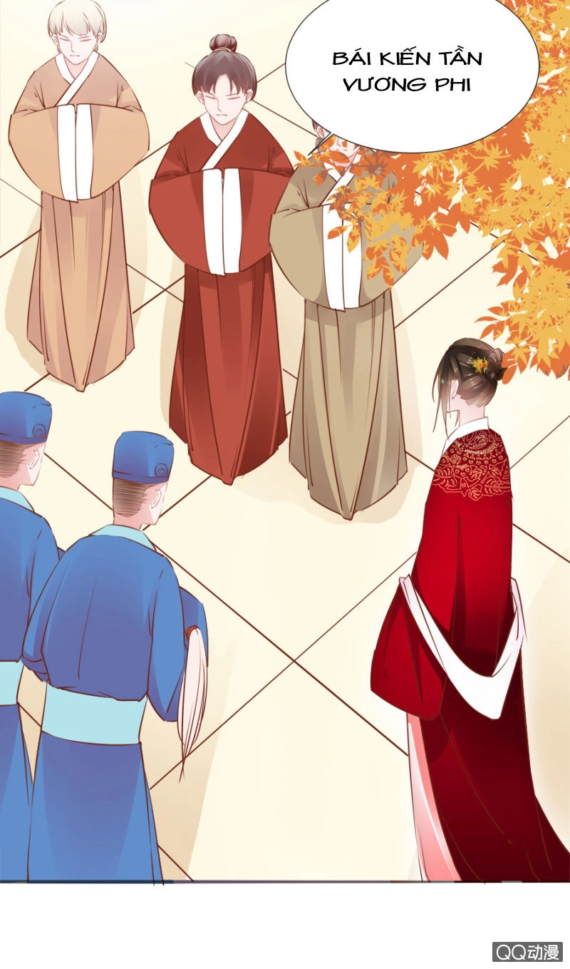 Solo Đi Vương Gia Chapter 81 - 14