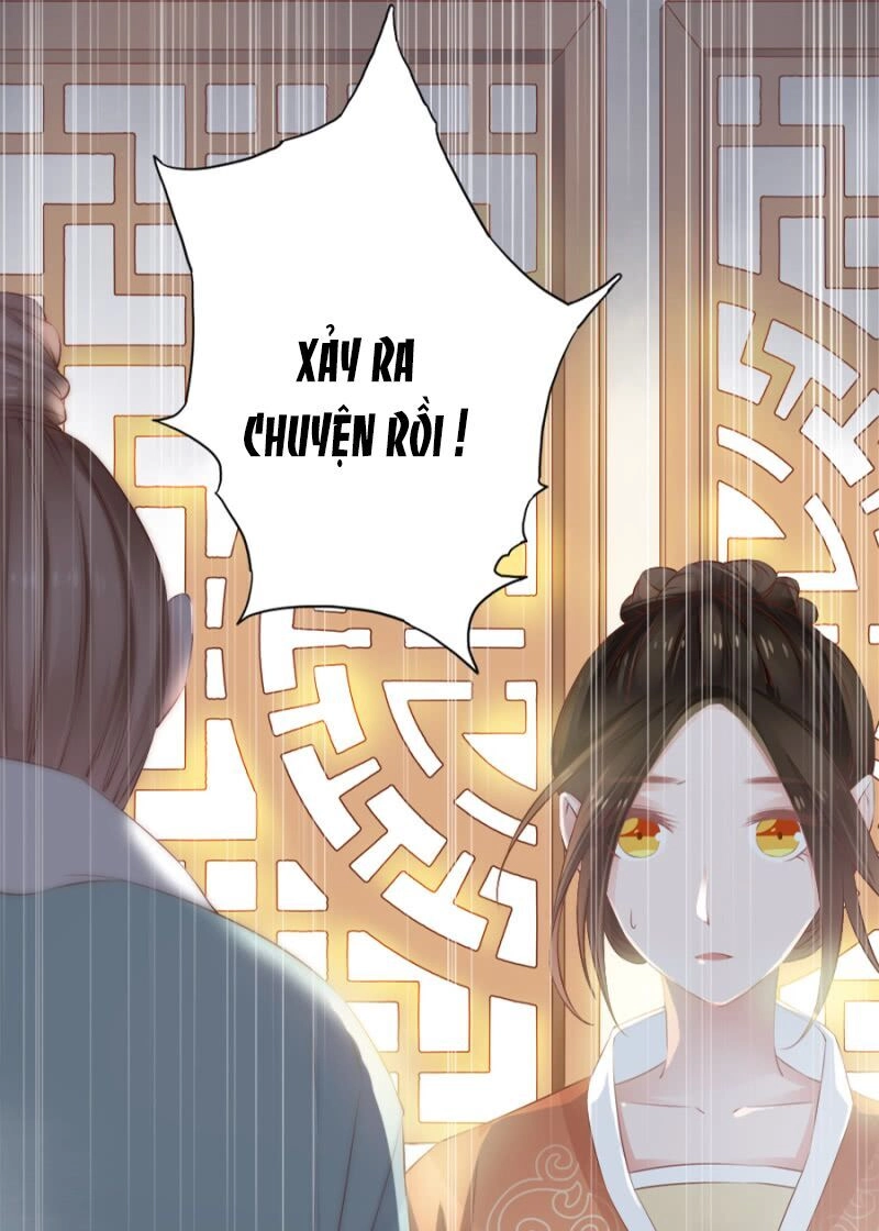 Solo Đi Vương Gia Chapter 100 - 6