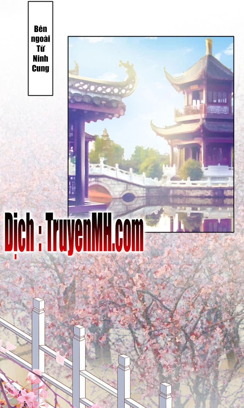 Solo Đi Vương Gia Chapter 114 - 8