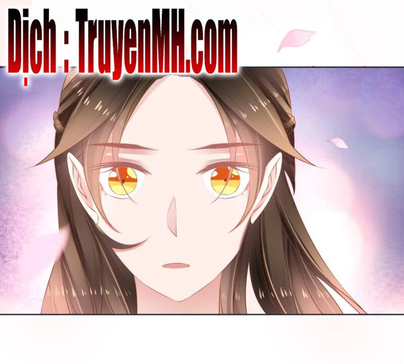 Solo Đi Vương Gia Chapter 127 - 13