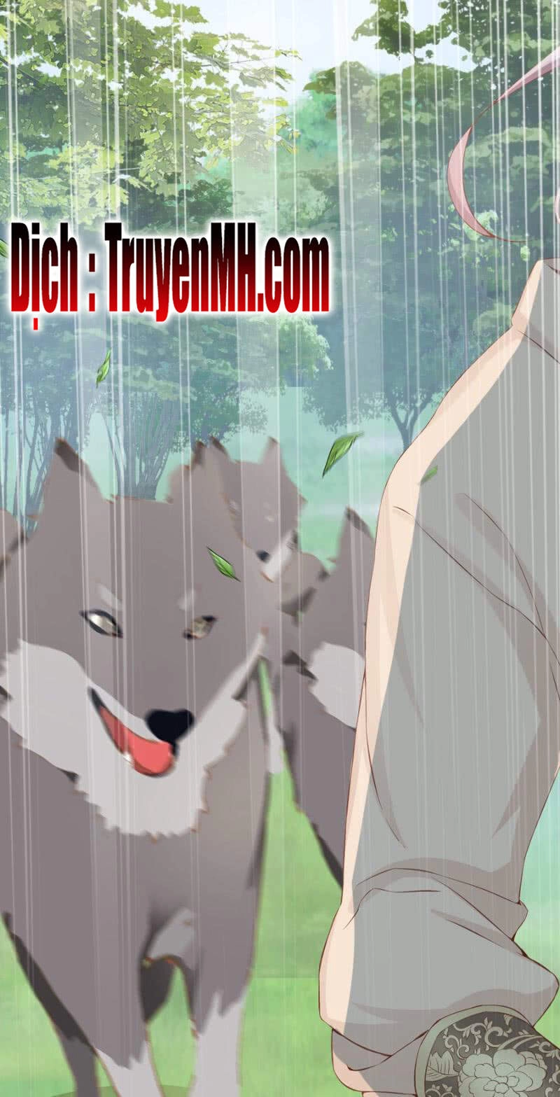 Solo Đi Vương Gia Chapter 137 - 19