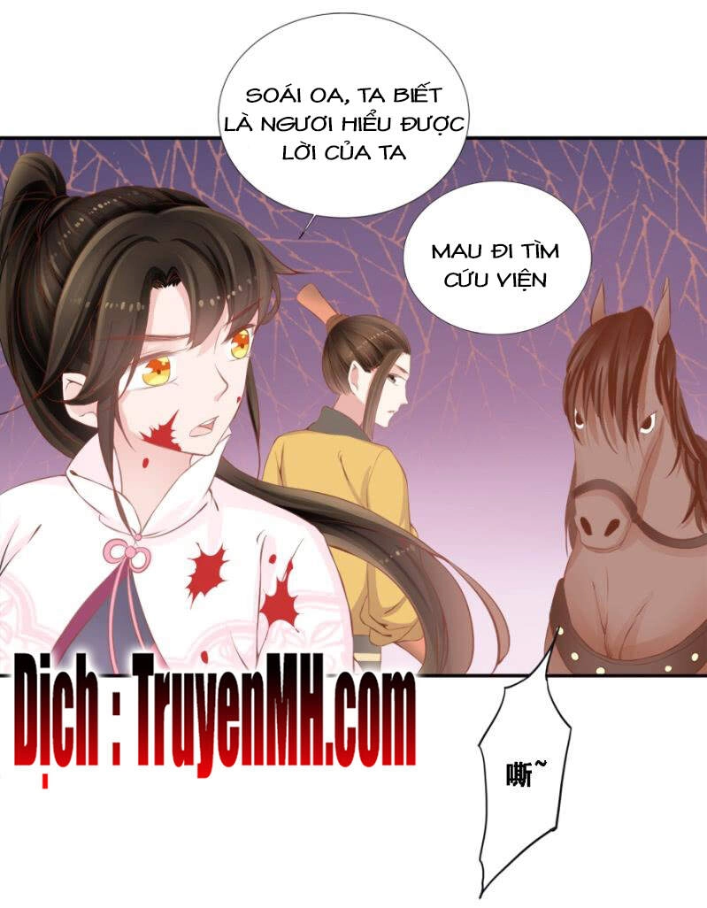 Solo Đi Vương Gia Chapter 138 - 6