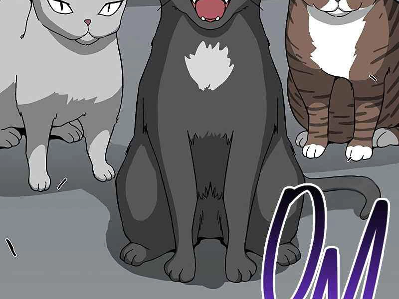 Đấng Cứu Thế Được Chọn Lựa Chapter 11 - 214