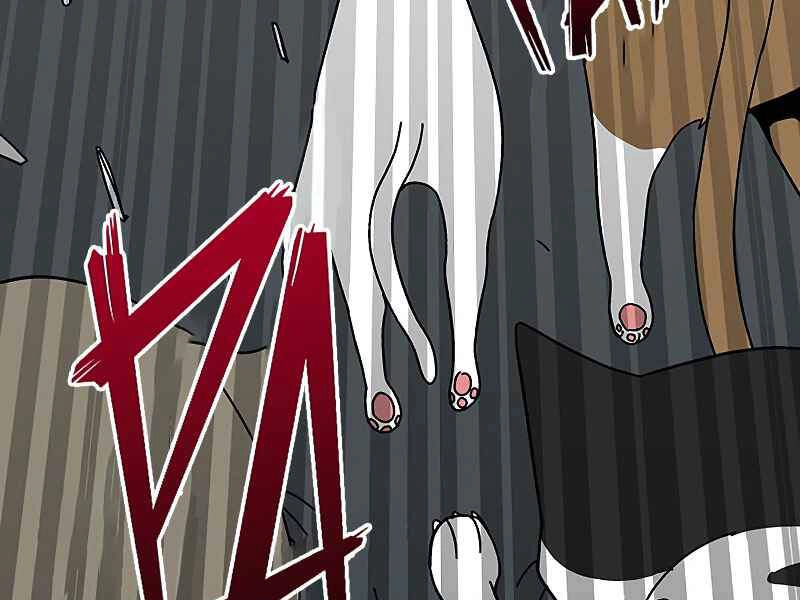 Đấng Cứu Thế Được Chọn Lựa Chapter 11 - 280