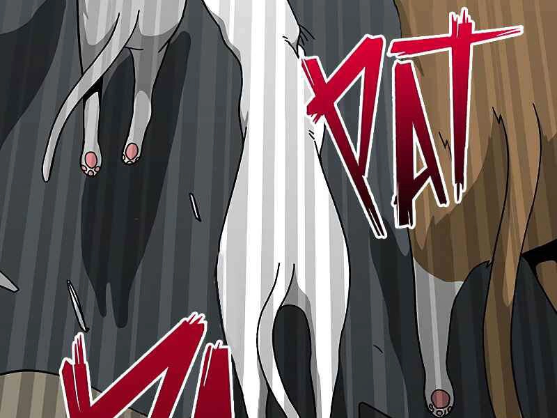 Đấng Cứu Thế Được Chọn Lựa Chapter 12 - 7