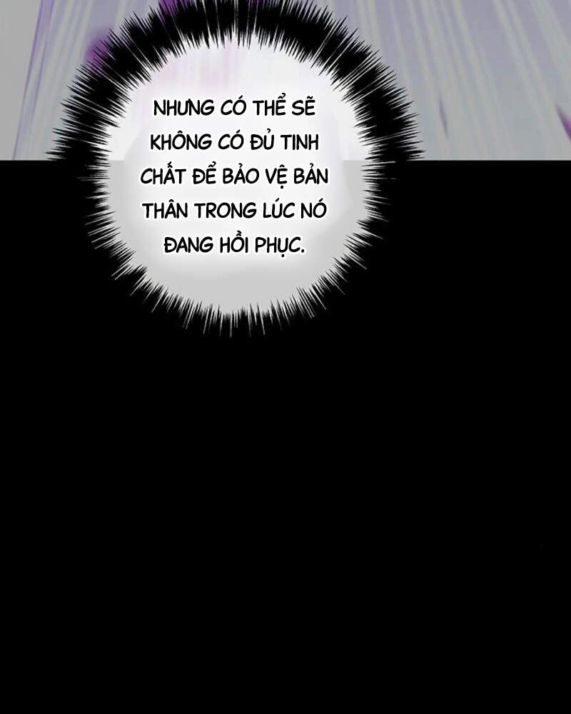 Đấng Cứu Thế Được Chọn Lựa Chapter 15 - 14