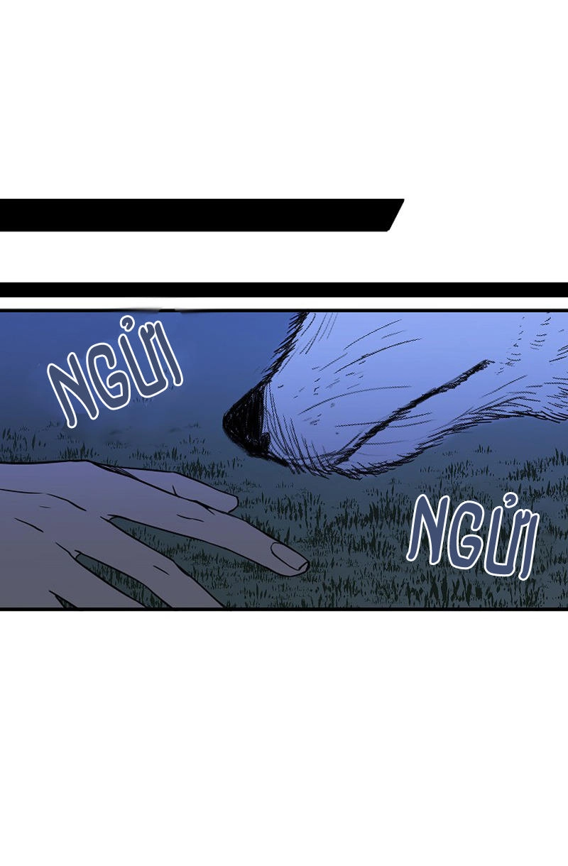 Mylord, Nữ Hoàng Của Loài Sói! Chapter 2 - 49