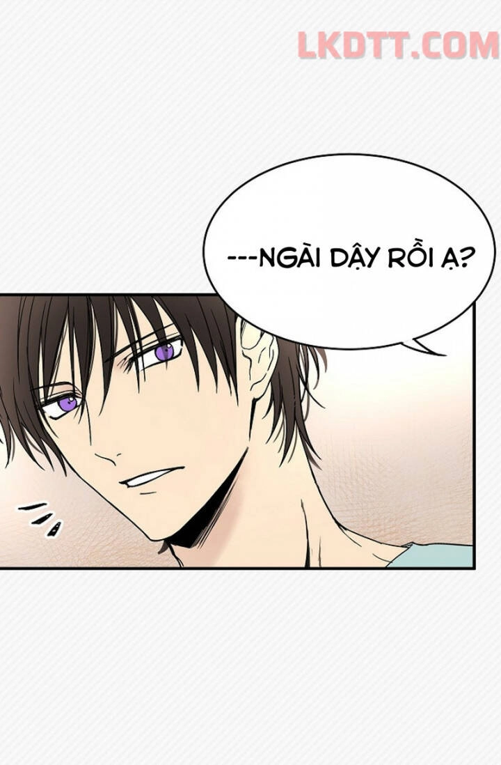 Mylord, Nữ Hoàng Của Loài Sói! Chapter 4 - 39