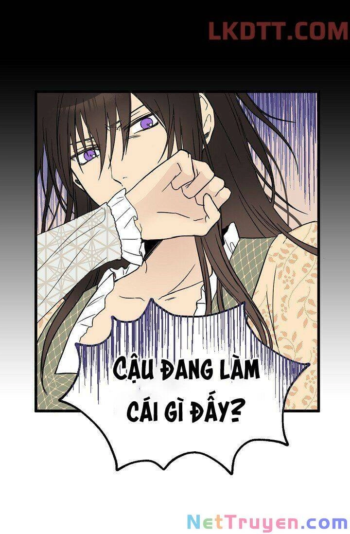 Mylord, Nữ Hoàng Của Loài Sói! Chapter 5 - 16
