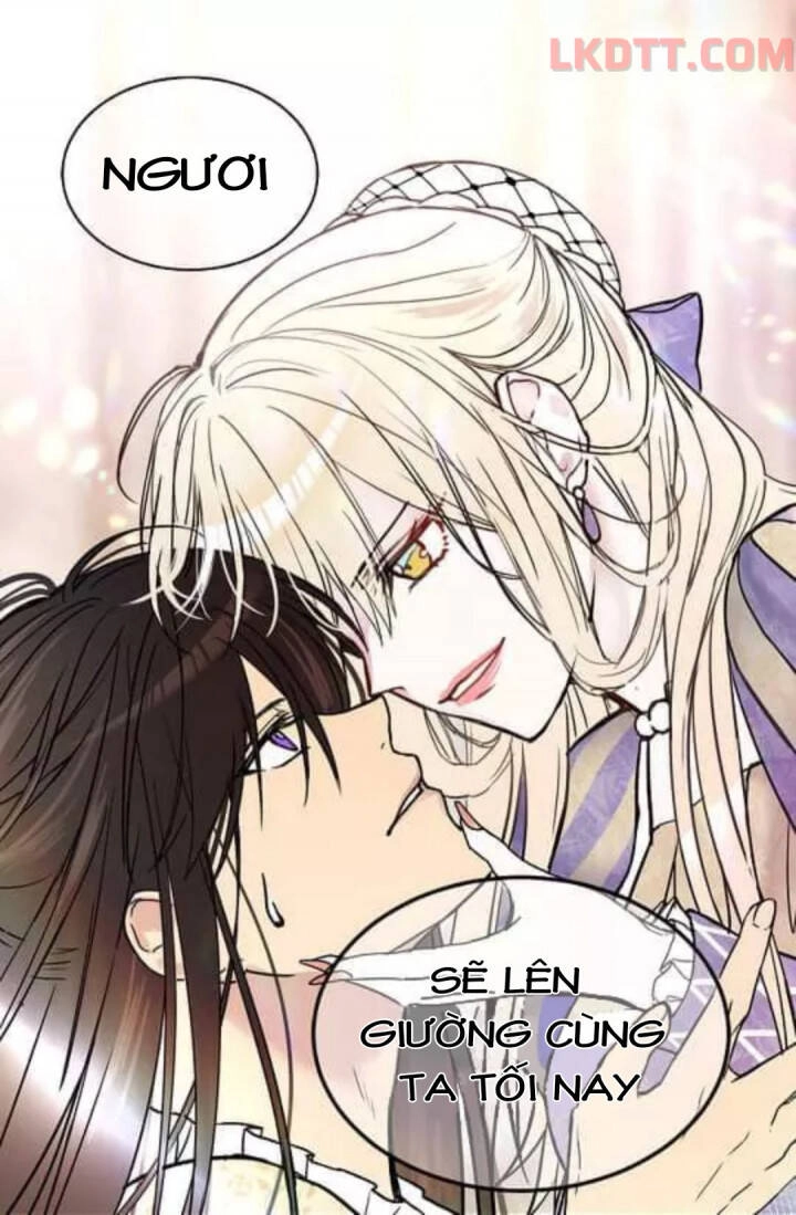 Mylord, Nữ Hoàng Của Loài Sói! Chapter 6 - 13