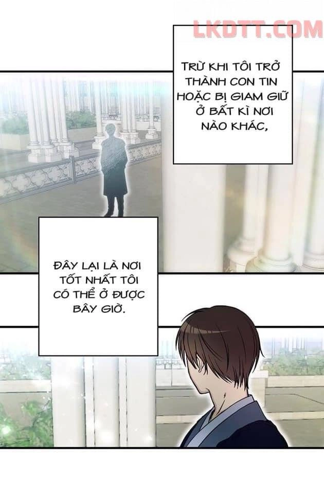 Mylord, Nữ Hoàng Của Loài Sói! Chapter 9 - 19