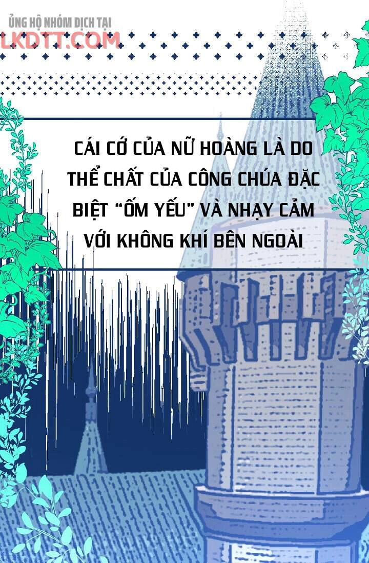 Mylord, Nữ Hoàng Của Loài Sói! Chapter 13 - 16