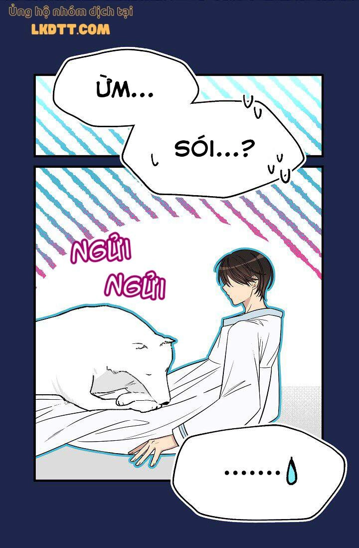 Mylord, Nữ Hoàng Của Loài Sói! Chapter 16 - 5