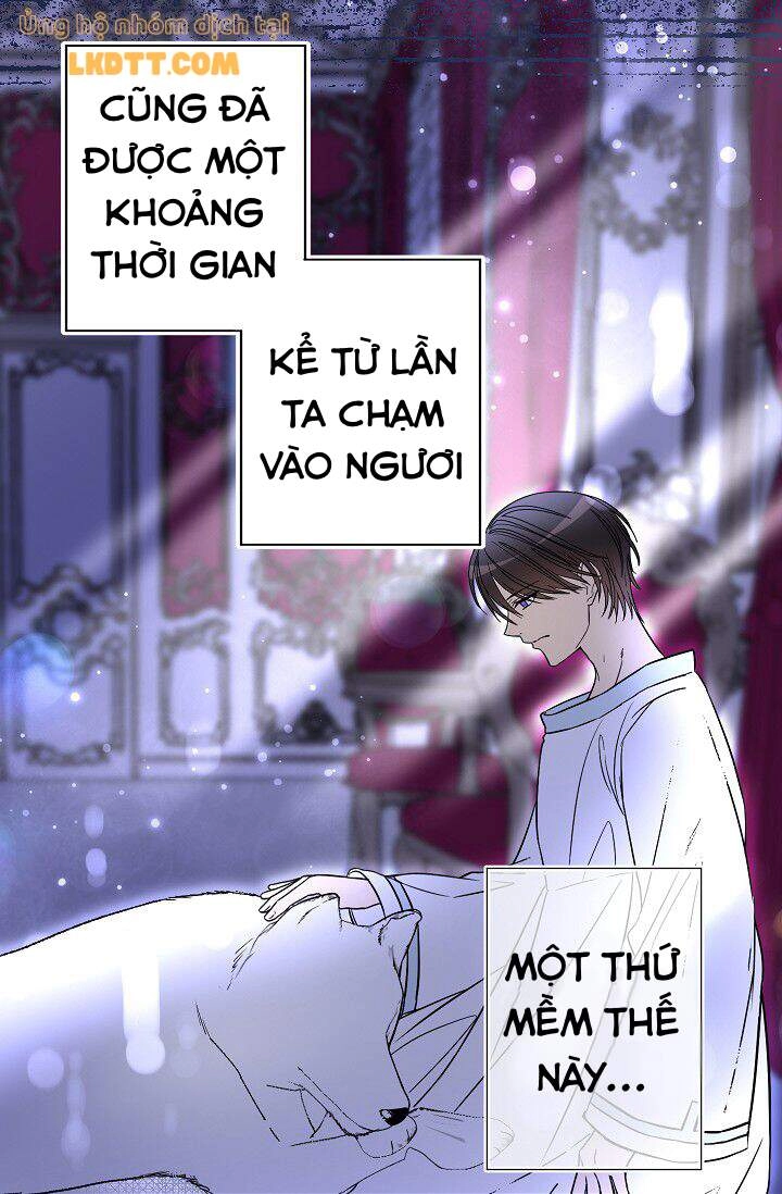 Mylord, Nữ Hoàng Của Loài Sói! Chapter 16 - 13