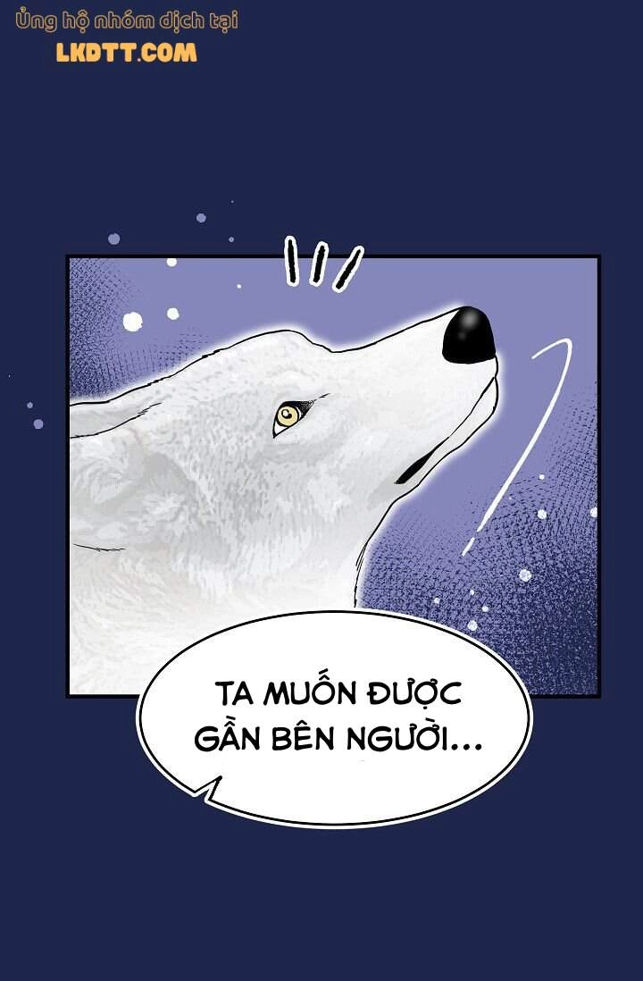 Mylord, Nữ Hoàng Của Loài Sói! Chapter 16 - 16