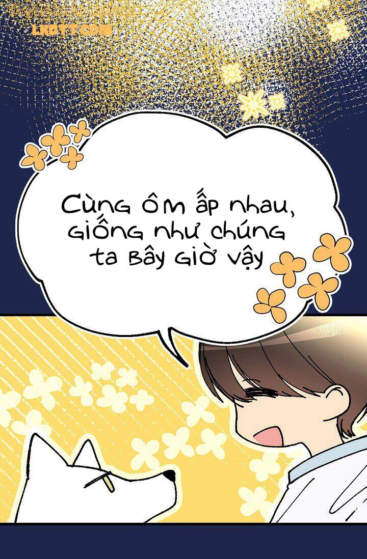 Mylord, Nữ Hoàng Của Loài Sói! Chapter 16 - 19