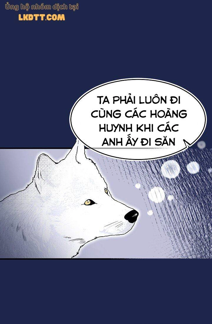 Mylord, Nữ Hoàng Của Loài Sói! Chapter 16 - 29