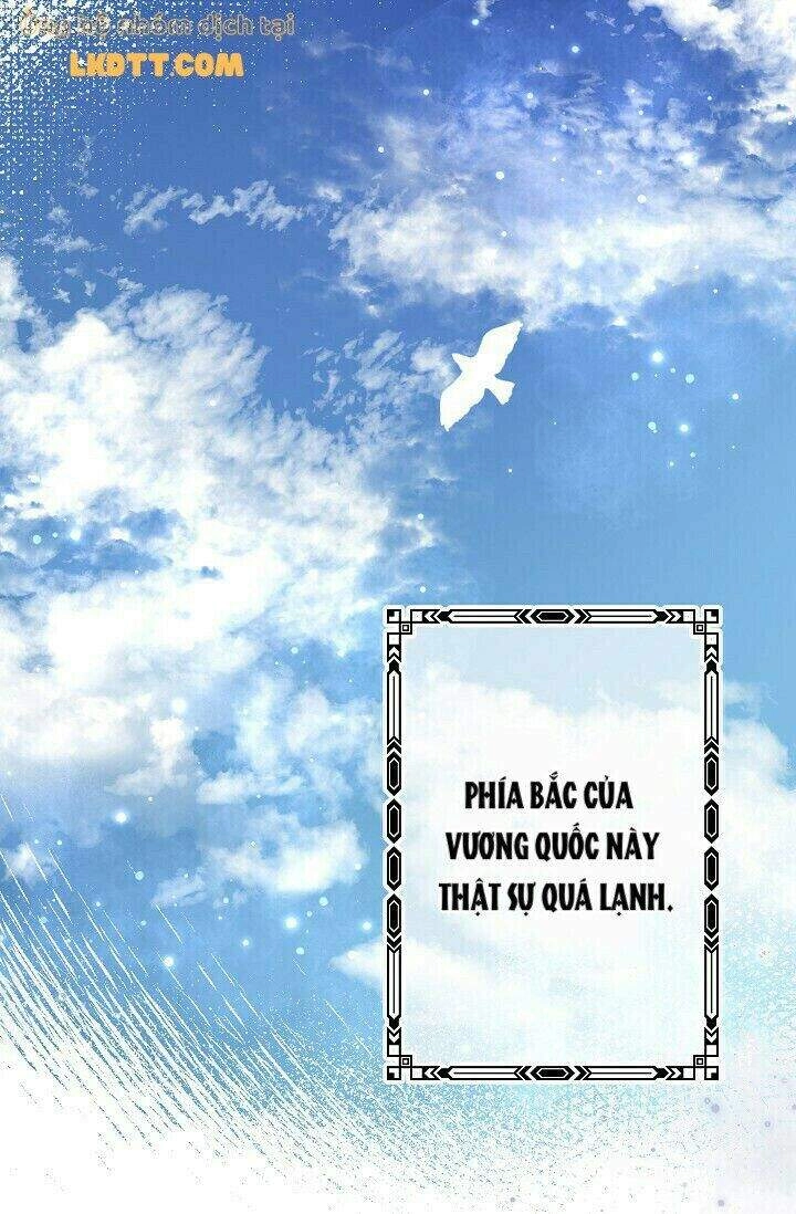 Mylord, Nữ Hoàng Của Loài Sói! Chapter 19 - 42